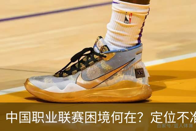 中国职业联赛困境何在？定位不准！理念错位！